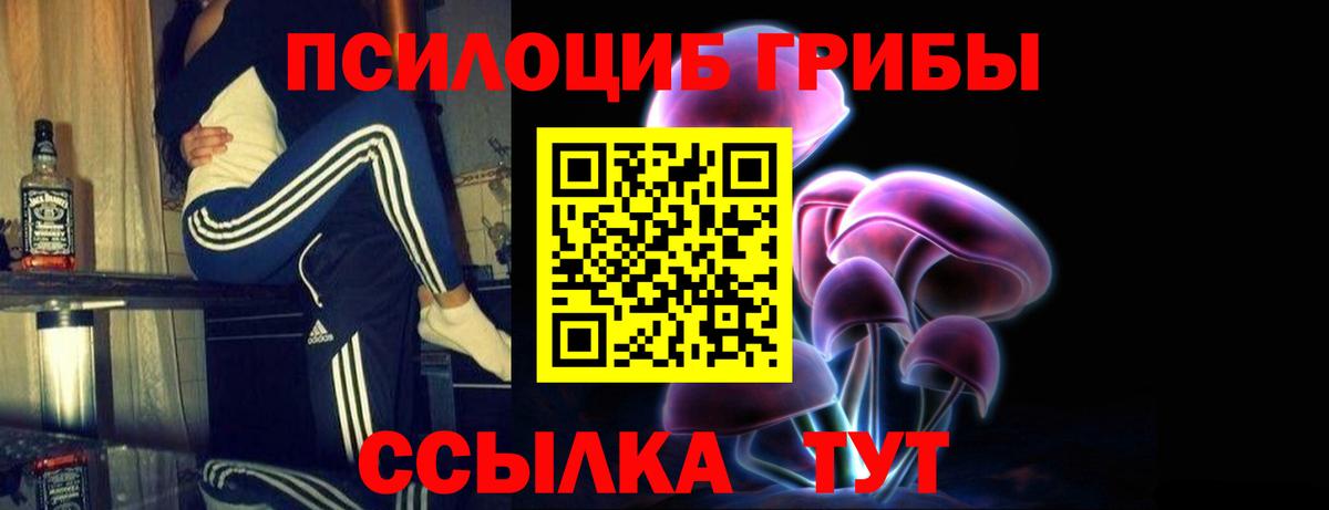 Псилоцибиновые грибы Psilocybine cubensis Киров